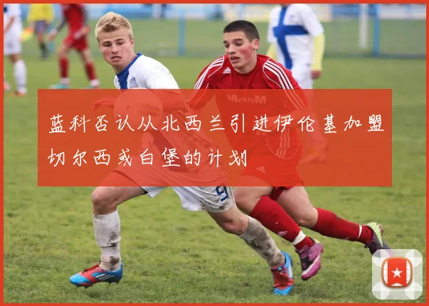 蓝科否认从北西兰引进伊伦基加盟切尔西或白堡的计划